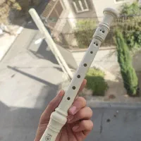 فلوت یاماها اندونزی اصلی|سازهای بادی|شیراز, فرهنگ شهر|دیوار