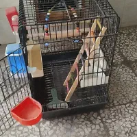 ۴ عدد قفس پرنده