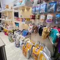 ملزومات حیوانات خانگی پت شاپ|لوازم جانبی حیوانات|مشهد, گلبرگ شمالی|دیوار