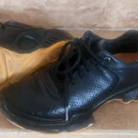 کفش اکو سایز ۳۸ بایوم cاصلی