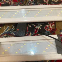 لامپ ال ای دی آکواریوم