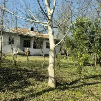 کددرخت-انجیر-820متر-ویلایی-روستایی-امتیازات-کامل