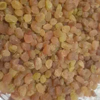 کشمش خراسان شمالی
