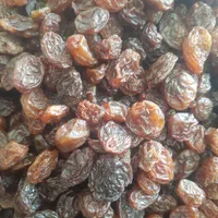 پخش انواع کشمش، با تخفیفات ویژه|خوردنی و آشامیدنی|تاکستان, |دیوار