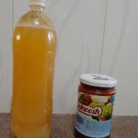 رب گوجه طبیعی و آبغوره تازه