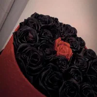 دسته گل / شاباش /باکس گل