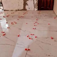 کاشیکاری|خدمات پیشه و مهارت|بندر ماهشهر, |دیوار