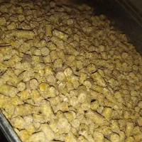 سوپراستارترباآنالیزدان پارس شرکتی مرغ بوقلمون جوجه