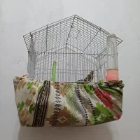 سهره نر