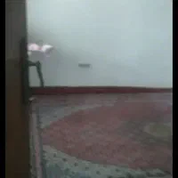 اجاره دائمی ویلا تک خواب تمیز با حیاط بزرگ