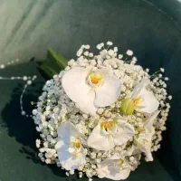 ماشین عروس و دسته گل عروس|گل و گیاه طبیعی|شیراز, سایت اداری|دیوار