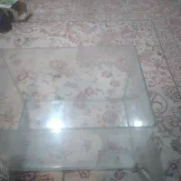 اکواریوم|ماهی|کرج, کمالشهر|دیوار