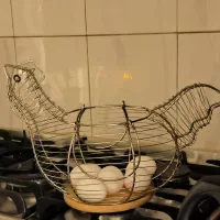 سبد استیل (در حد نو)