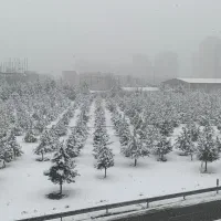 ۷۶ متر ۲ خواب تک واحدی شهرک یاس|فروش آپارتمان|تهران, شهرک یاس|دیوار