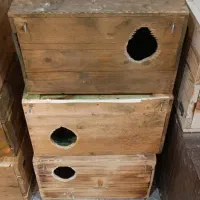 تعدادی لانه . لونه پرنده طوطی|لوازم جانبی حیوانات|آبادان, |دیوار