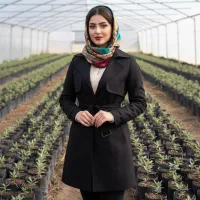 نهال زیتون مانزانیلا، درآمد بزرگ از یک خرید جادویی