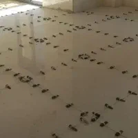 کاشیکار کاشی کاروسرامیک