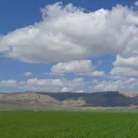 اجاره زمین کشاوزی داربیدگدارپهن