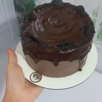 کیک های کافیشاپی|خوردنی و آشامیدنی|تهران, مطهری|دیوار