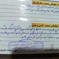 پیکان وانت دوگانه شرکت