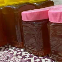 عسل|خوردنی و آشامیدنی|سرپل ذهاب, |دیوار