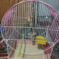 قفس بزرگ در حد نو