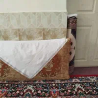 یک جفت پشتی بزرگ