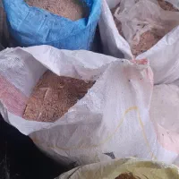 فضله کبوتر، کود باغچه|گل و گیاه طبیعی|رشت, حومه رشت|دیوار