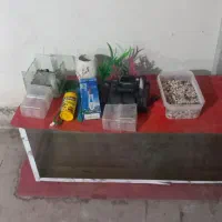 آکواریم کلبه ای و آکواریم بزرگ  ماهی فوری فوری|ماهی|قم, شهرک مهدیه (مدرس)|دیوار