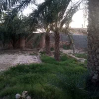 قطعه باغ شهری ۴۰۰ متر، دیوار کشی شده، آماده ساخت