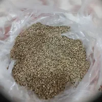 شاهدانه.سهره