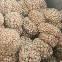 پباز درجه یک|خوردنی و آشامیدنی|شیروان (خراسان), |دیوار