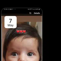 کاروان زیارتی مشهدالرضا (ع)