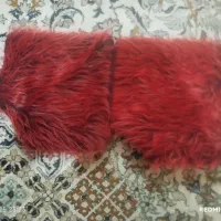 دست کش موتور