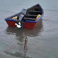 موتور ۷۵ اسب دریایی استارت وجک برقی ۲۰۱۶