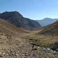 تدریس خصوصی دروس ابتدایی تا متوسطه اول