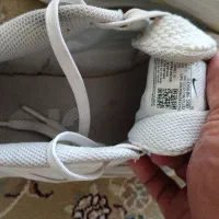 کتونی زوم اورجینال