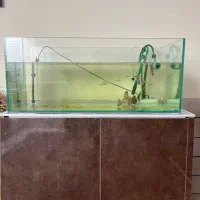 اکواریوم ریملس سوپر کلیر