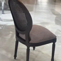 صندلی ABSمدل هیمالیا/رستوران و هتلی/تالار