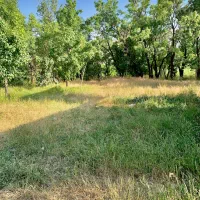 استخدام باغبان طالقان