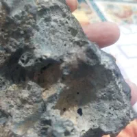 همه باهم میفروشم