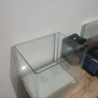 اکواریم لبه خم