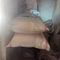 سلام دوعدد کود سفید