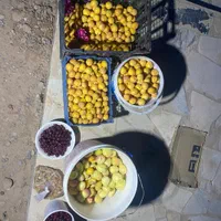 باغ درخت میوه و سبزی ۱۶۰۰متری همراه خانه ی۵۰متری|فروش زمین و ملک کلنگی|مشهد, مقصود آباد|دیوار