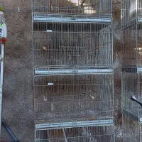 قفس چهار خان|لوازم جانبی حیوانات|شوشتر, |دیوار