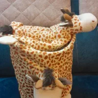 سطل و جا دستمال کاغذی