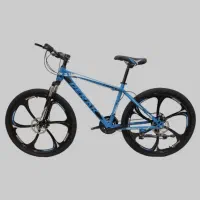 دوچرخ24.26فارابی گیوه