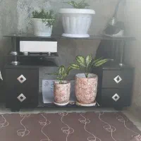 زیر تلویزیونی و سی دی