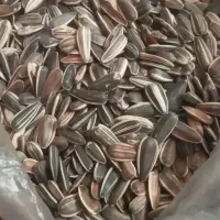 فروش تخمه گل آفتاب گردان برای پرنده ۶۰۰ گرم|لوازم جانبی حیوانات|اصفهان, حصه شمالی|دیوار
