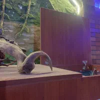 اکواریوم کمد ام دی اف|لوازم جانبی حیوانات|صوفیان, |دیوار